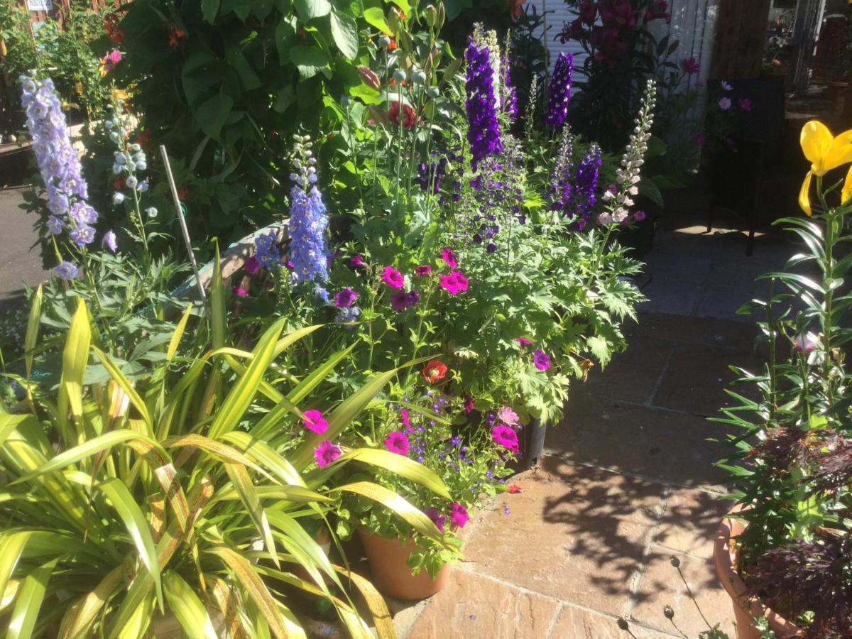 Albertine ,A Warm Welcome Awaits You ,Offering Room Only Or Bed And Breakfast ,Ideal Location For Solent Way ,High Street ,Isle Of Wight ,New Forest Lymington Exterior foto