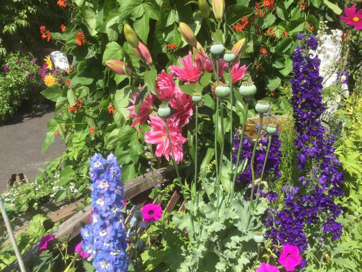 Albertine ,A Warm Welcome Awaits You ,Offering Room Only Or Bed And Breakfast ,Ideal Location For Solent Way ,High Street ,Isle Of Wight ,New Forest Lymington Exterior foto